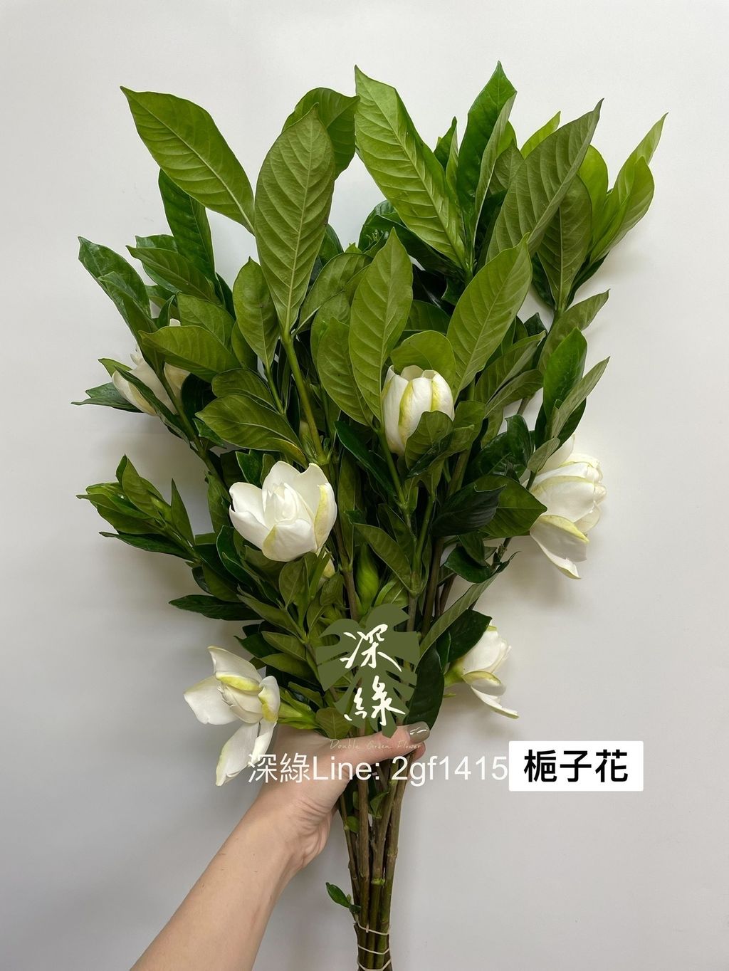 DD7EB6C2-B6C6-4DF8-8693-05FF2627A4F8