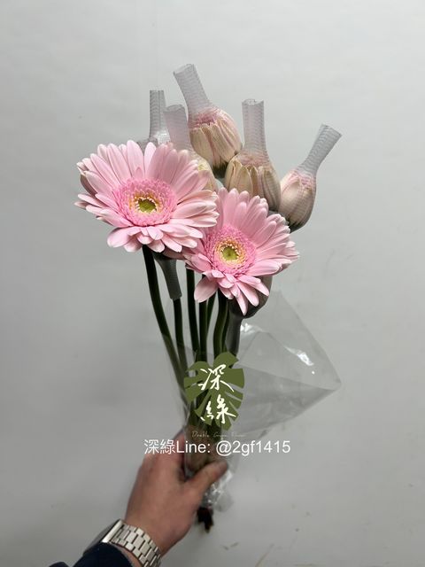 image_3F5521DE-3340-4B04-8C39-4AE5E06239BE_1742302664