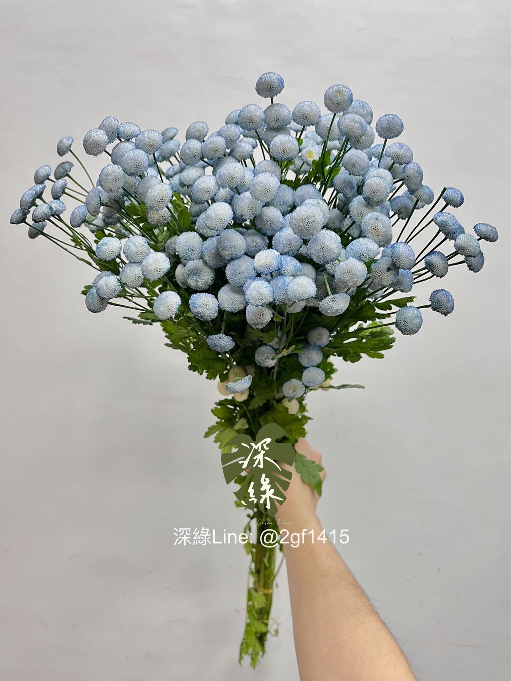 image_6CDA8A2A-843A-4FB2-96B2-8AB691867CFC_1742541410