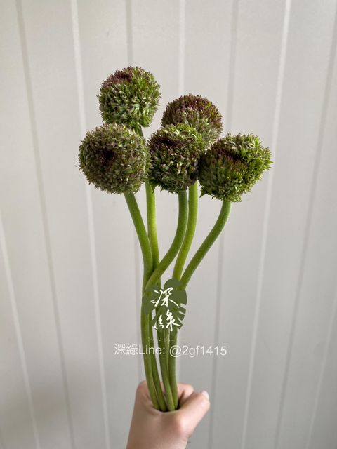 image_6684AC5C-A033-4D00-82DC-AEE5BEE355B0_1742580097