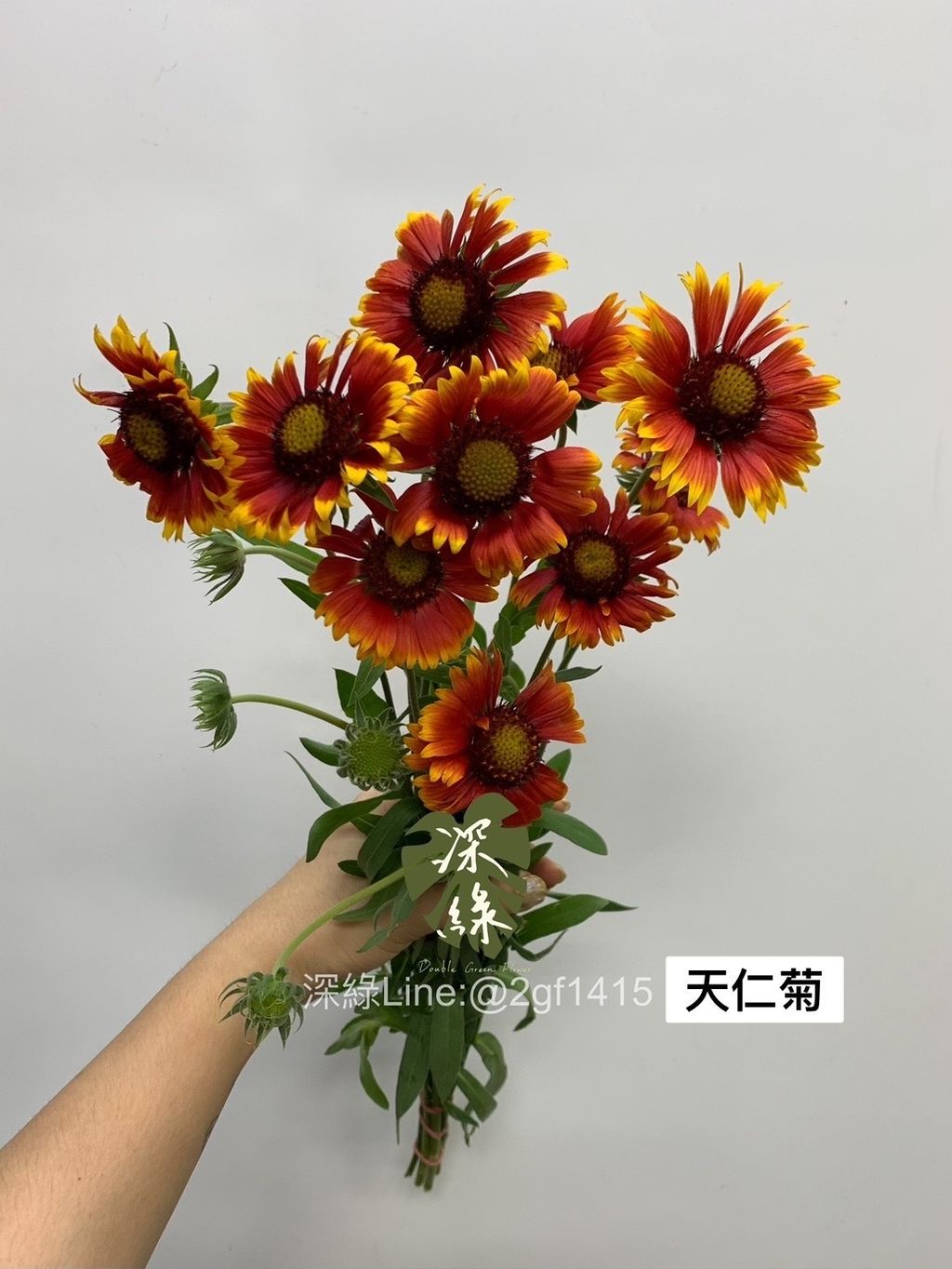 5B03066C-28DF-4B7A-A5C1-969516E6555A