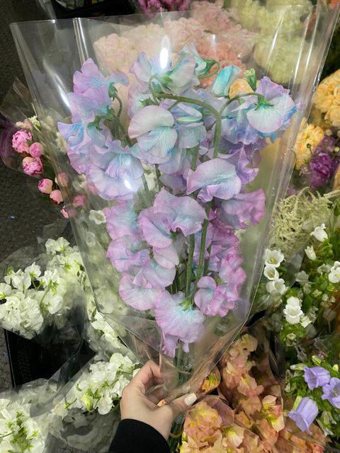 image_EB3E8683-C88A-4D56-8F65-79956FD8C8DD_1742808300