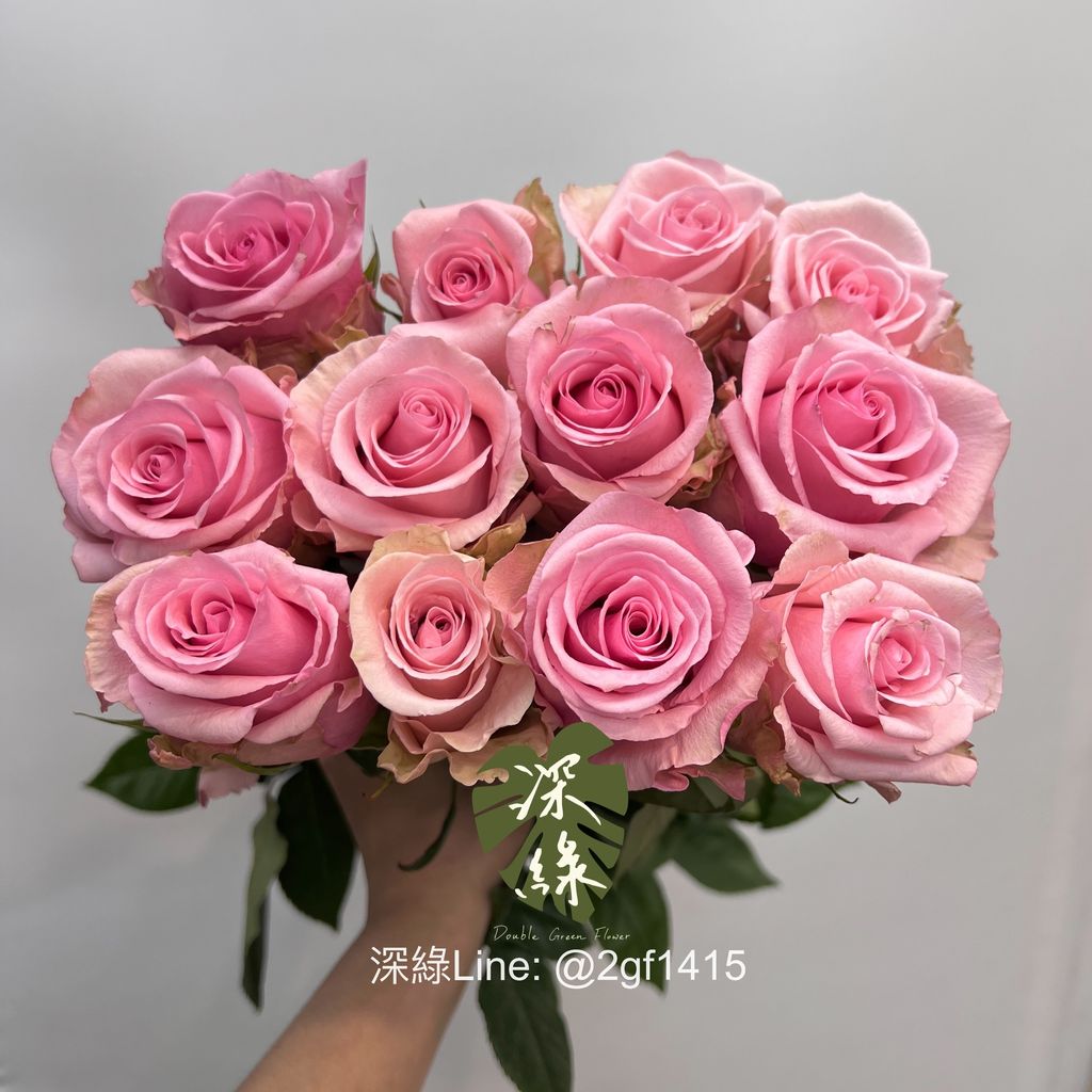 image_935F5F29-0E61-49D7-8899-E2C467A394AD_1742909139