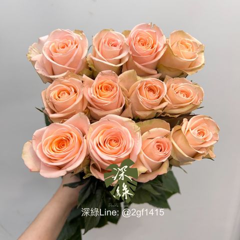image_B7F7C9EF-C298-4EAC-ACD1-8D294370F157_1742909190