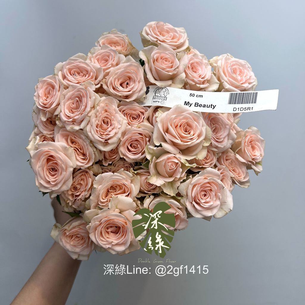 image_F62C8634-7837-40DE-A282-9D4C5986E38B_1742909268