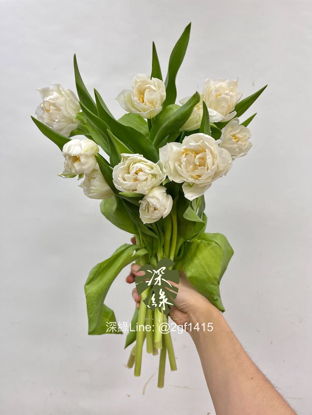 IMG_4529-1743051251217