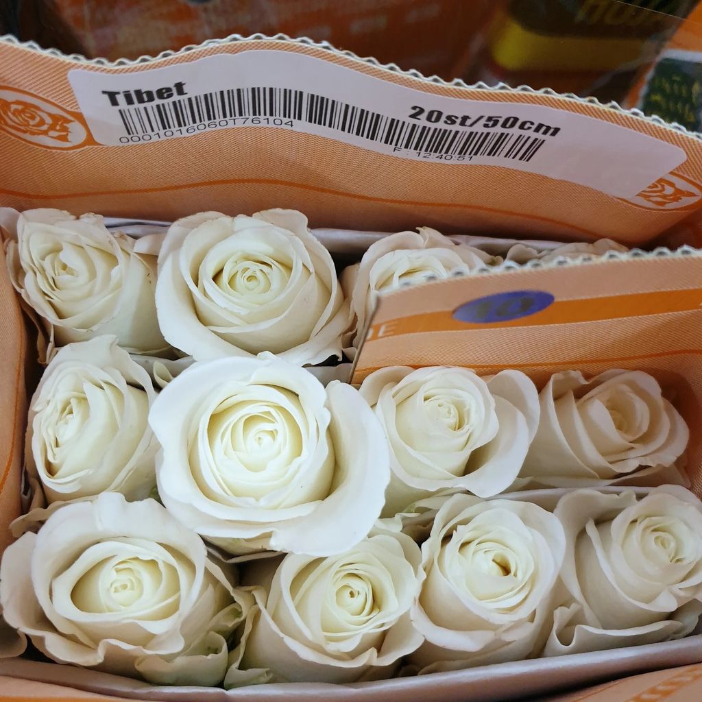 messageImage_1712334932304