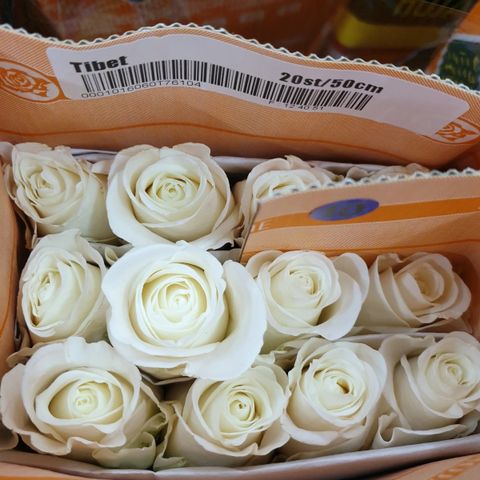 messageImage_1712334932304