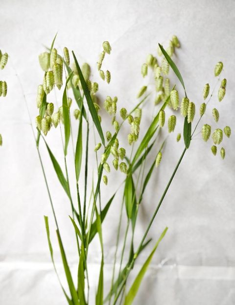 image_3842426E-D0E5-40A0-A1DD-A084F8AB8DDA_1743312973