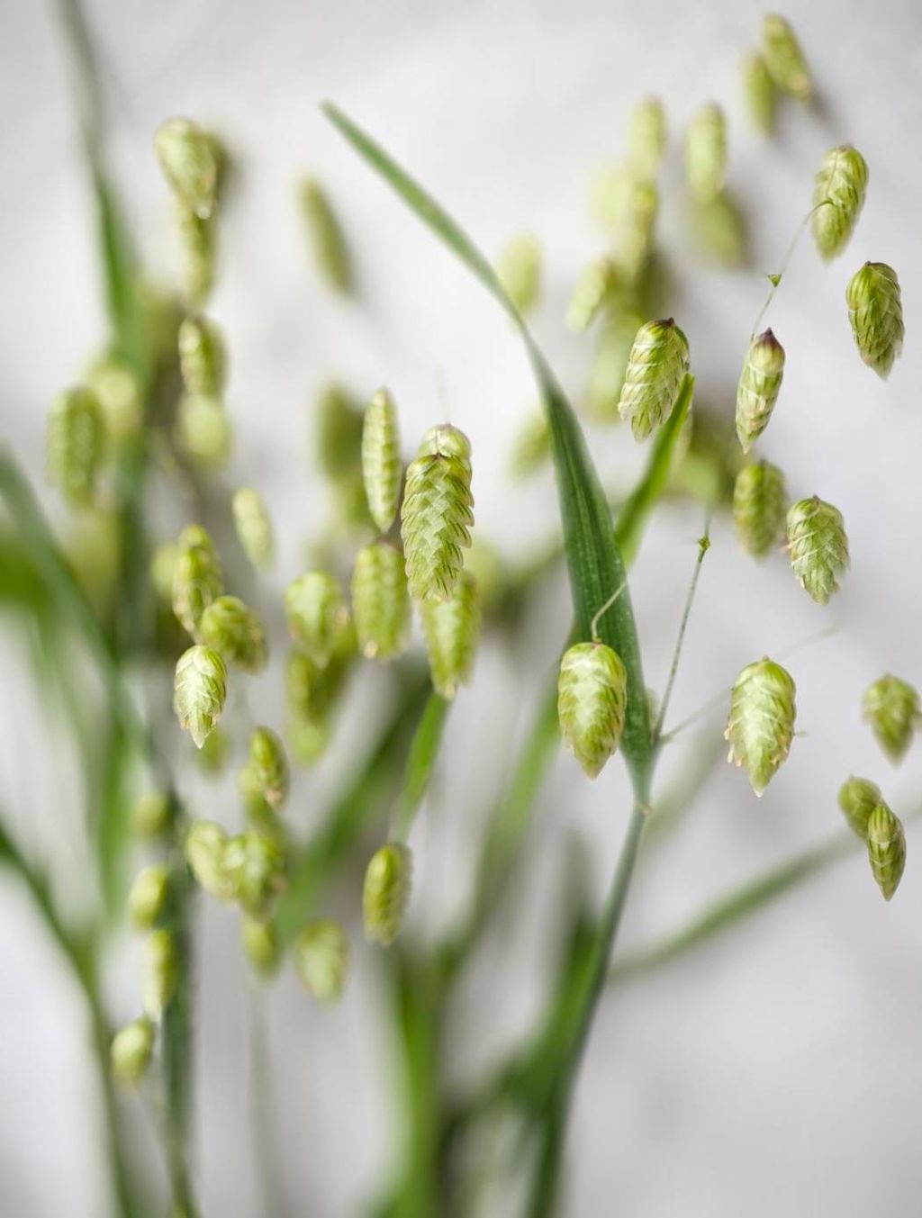 image_95BCC746-782A-4BE5-9E1B-F935EE9F526C_1743312973