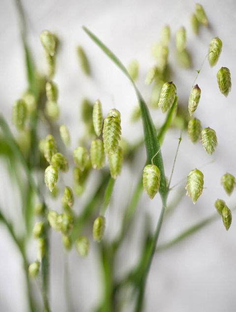 image_95BCC746-782A-4BE5-9E1B-F935EE9F526C_1743312973