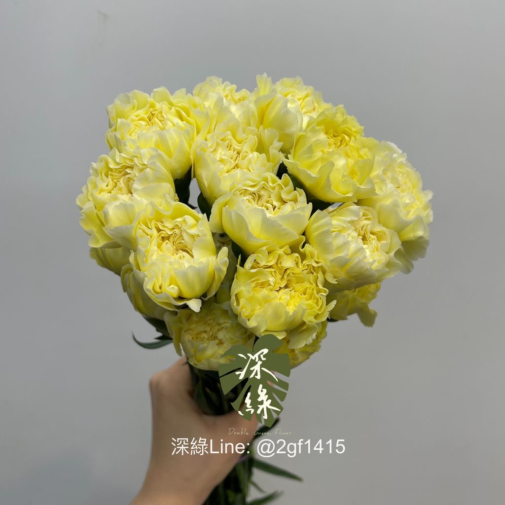 image_32990655-DD83-4D2E-829D-79F61CA60B5F_1743416833