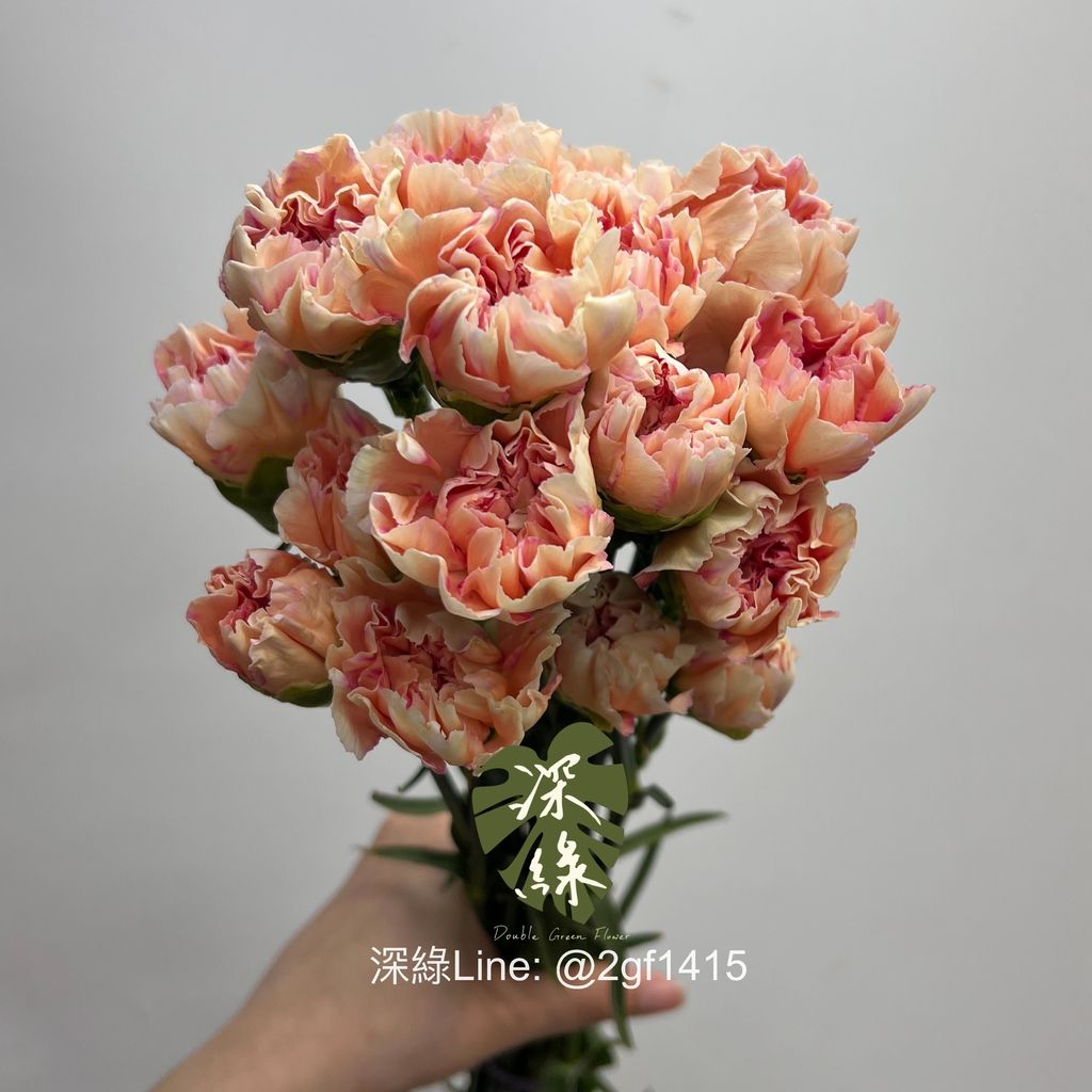 image_47FFAD6F-E6BD-4D91-B9EA-196508478B23_1743417095