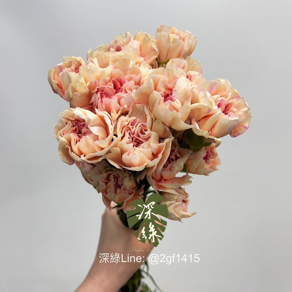 image_AFC94E6C-4572-4FFF-8954-88B397680BC5_1743417214