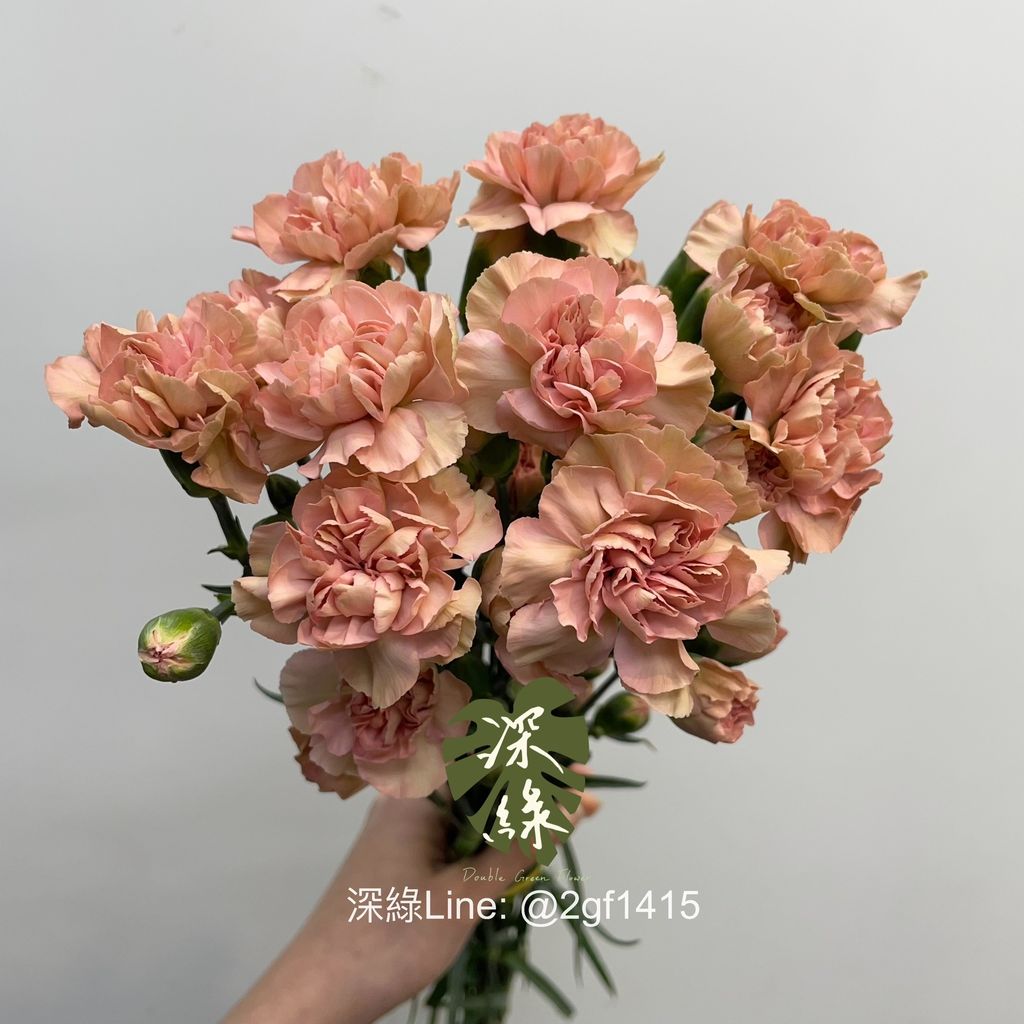 IMG_2389-1743538568556