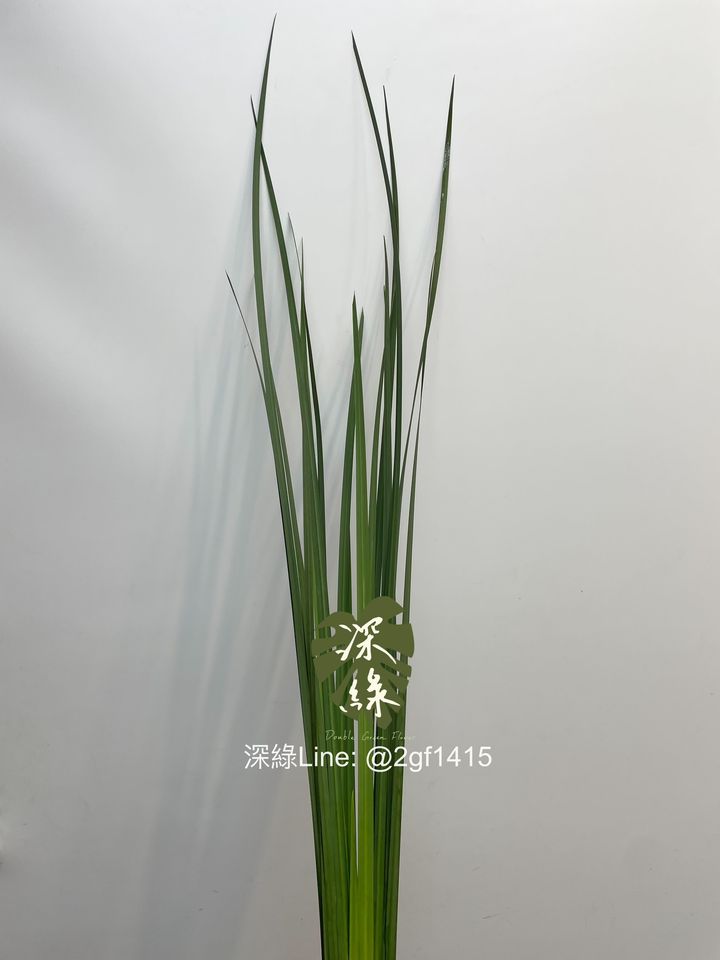image_1F309663-3915-42C1-BD55-83DCFA332567_1743633240