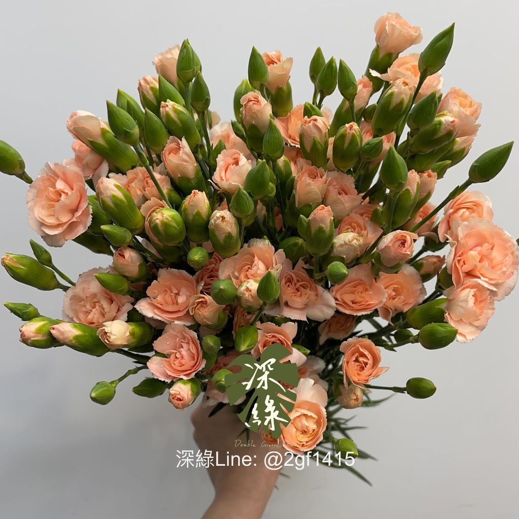 eZy Watermark_03-04-2025_07-17-41-4750上午-1743652472538