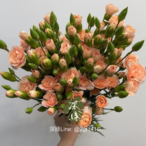 eZy Watermark_03-04-2025_07-17-41-4750上午-1743652472538