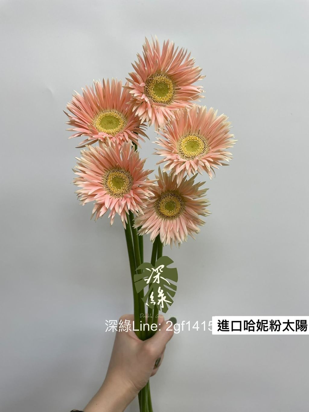 S__26435602