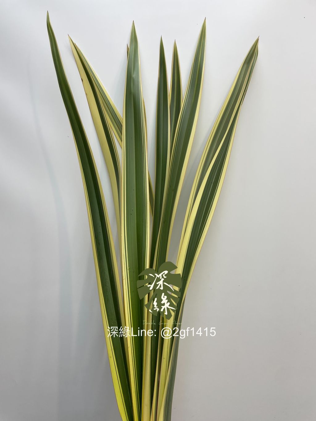 image_0CC86EB1-AEB5-4472-AD23-39B1F2112BAA_1743936798