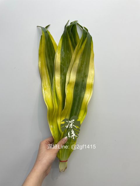 image_06ADB10E-37F9-422B-8EA3-4F079A8AD603_1743937343