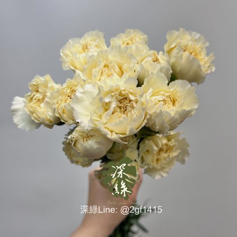 image_E7A599F9-3DC3-4E07-ACD2-5EA4E95A6E78_1744006262