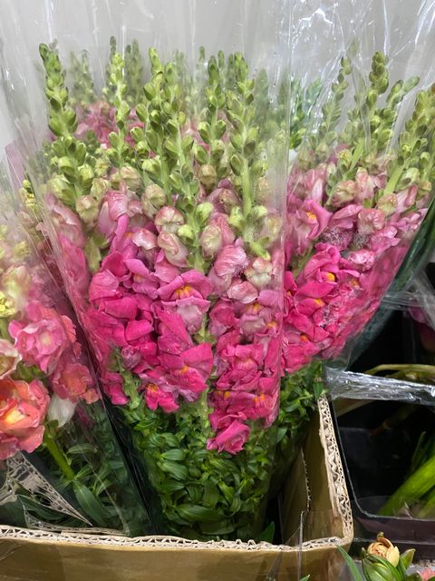 image_8F600479-AC6A-42C1-8B0B-9518091FBAFF_1744014101