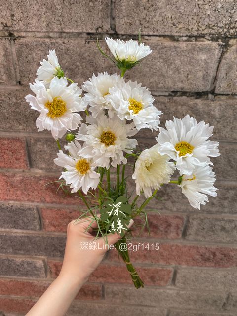 image_27677B54-A014-4284-AF3B-A932BAFB2CED_1744055860