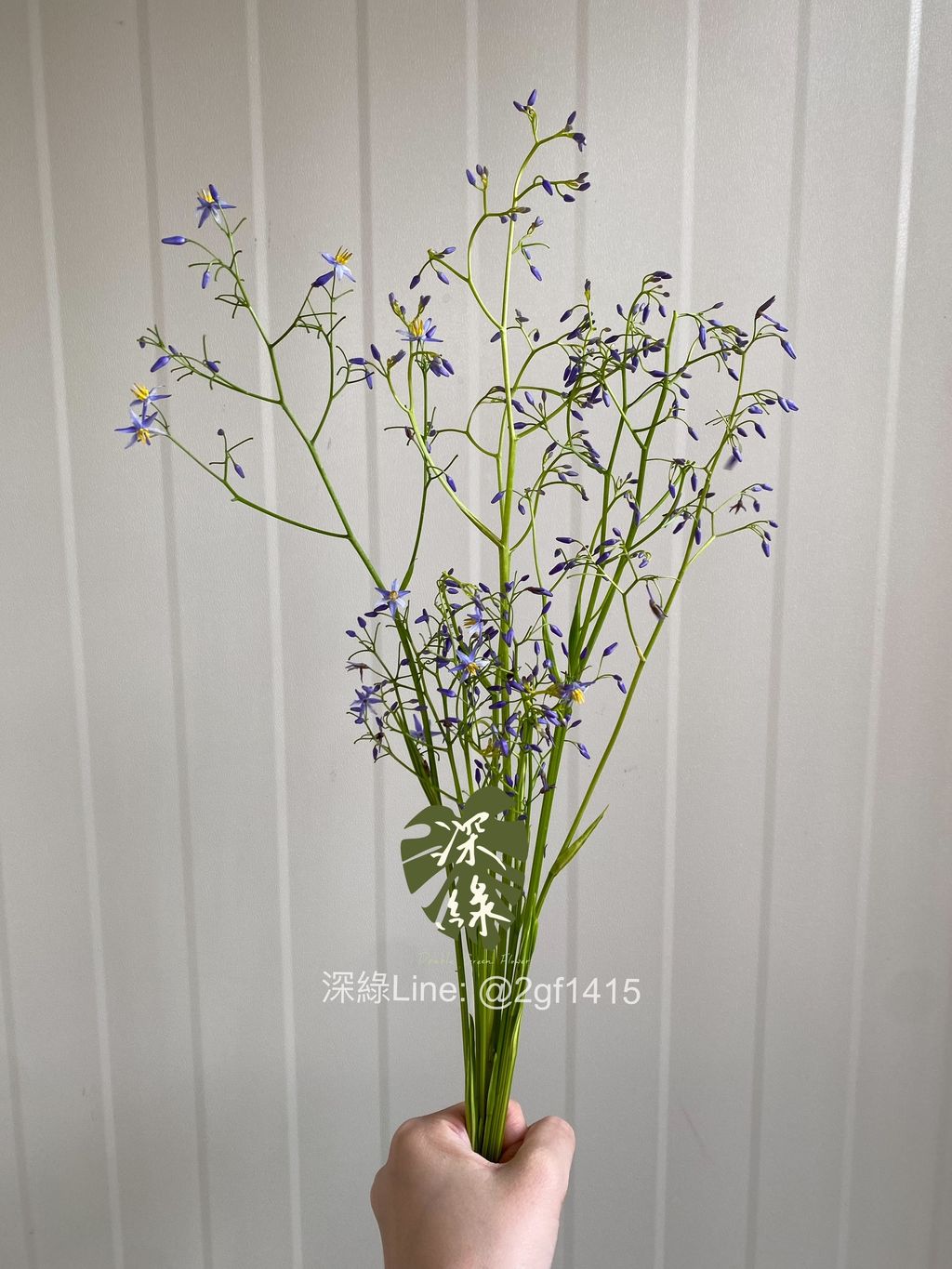 image_D8227318-5DDB-4589-88F9-DDE9D11C7279_1744055878