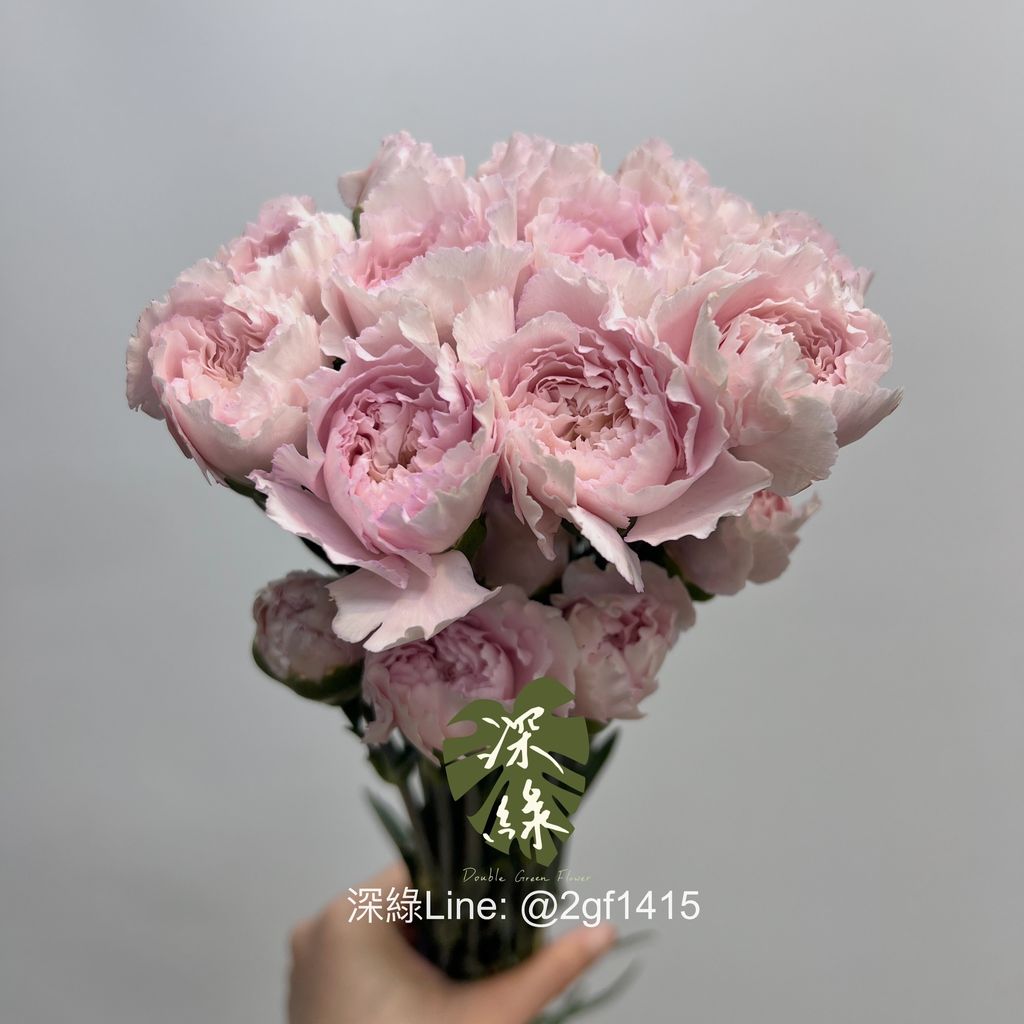 image_64BAFF8E-3CA3-4AD7-8C70-8C79BA30DA4F_1744055911