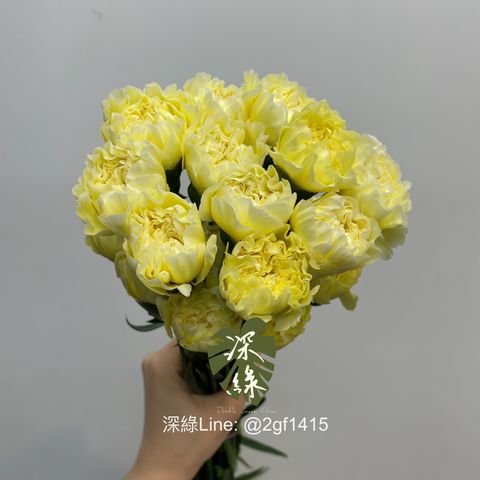 image_0B07D32F-DFF6-450F-B1D8-D681BA42C6B5_1744055959