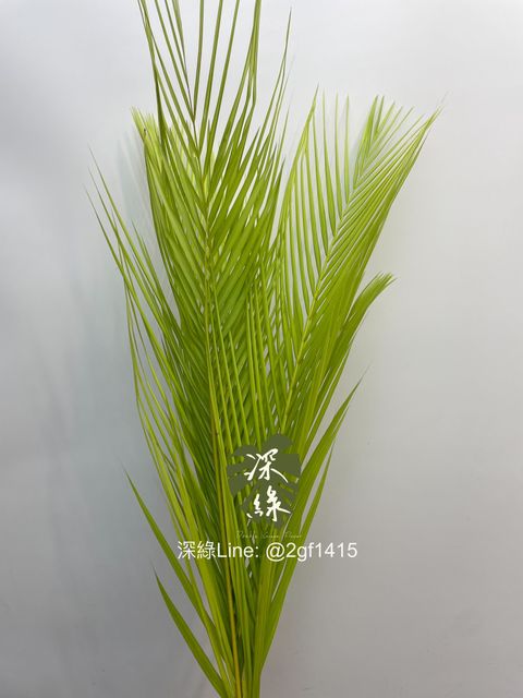 image_CE3F0C5D-A632-403B-809C-752BF1D96CA9_1744177326