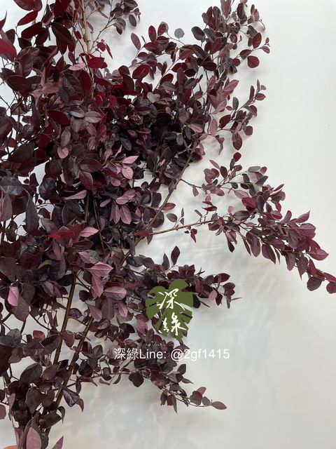 image_CCE58ED5-6627-4519-AE60-1C722A664AB7_1744177618