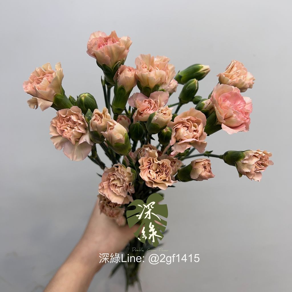 image_C59E1D79-3243-4D50-9F18-7AE520F588DA_1744263816