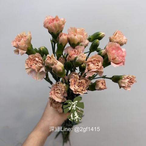 image_C59E1D79-3243-4D50-9F18-7AE520F588DA_1744263816