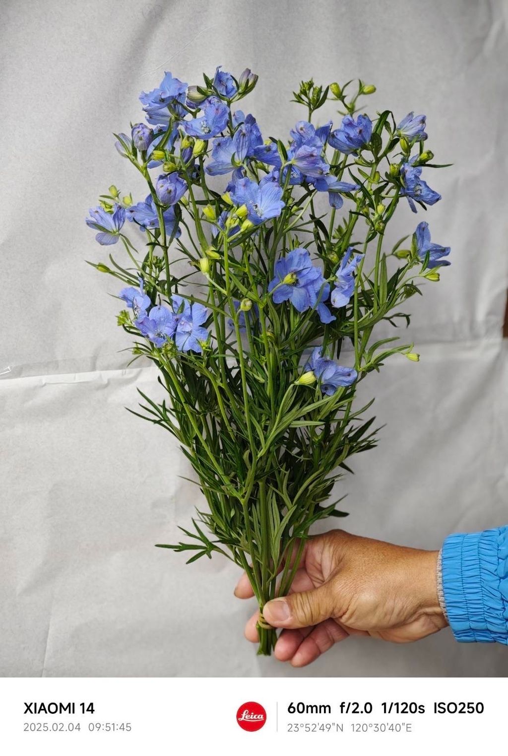 IMG_7479-1738641869781