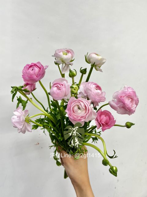 eZy Watermark_15-02-2025_08-02-06-4430上午-1739577744901