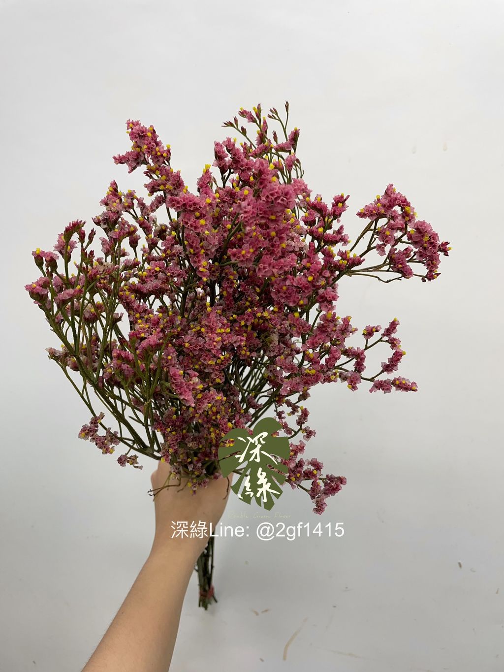 image_23C6F006-2051-4835-8999-8DA96DB5A2A0_1744427090