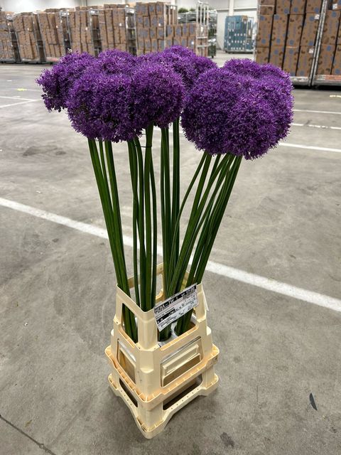 942EEC61-3B2E-4AE0-9C63-34D55CD9CF68