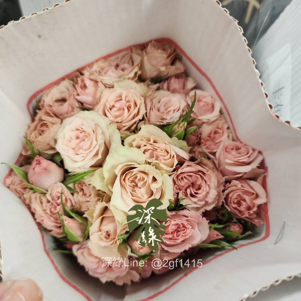 image_1705C7DA-992A-40A7-983F-F4CAD2373141_1744535685