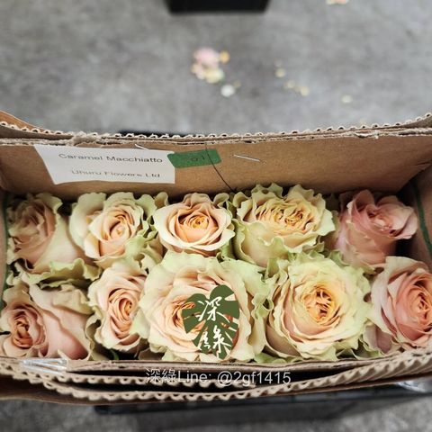 image_DEC63EA9-6BA4-4985-87ED-0BD5282AA786_1744535965