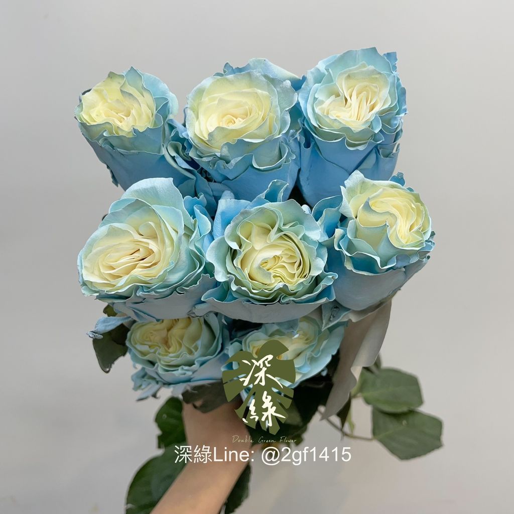 image_0FEAFB4F-EEA3-4BE2-AB4B-DAC35970B200_1744537005