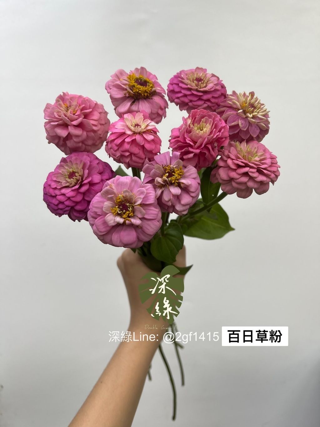 S__3227707