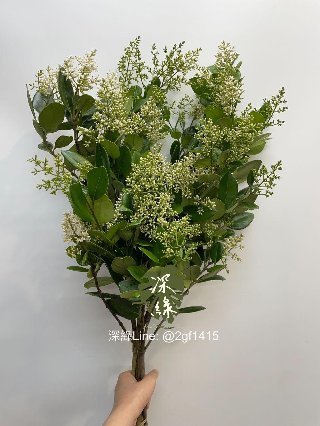 image_511A6E6C-2AC9-49EF-9328-5331EE8F9651_1744783184