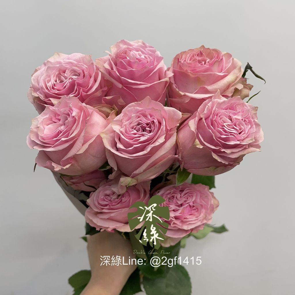 image_4CA40B4F-4018-4B31-B9CA-B3ECA030EA63_1744872605