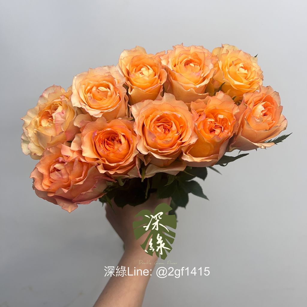 image_9F3CA6A2-01A7-46EB-B7C8-EFC17EF3271A_1744873122