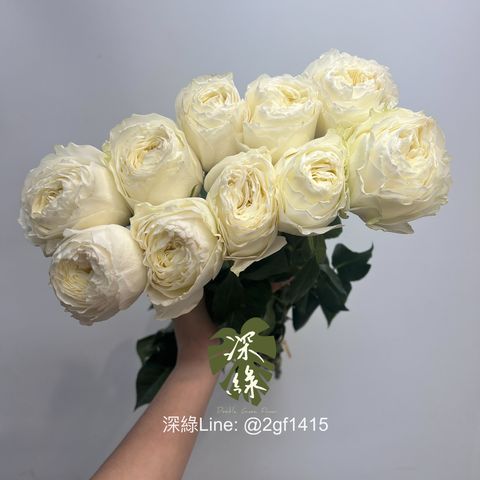 image_EF827BD3-8D3F-4289-ACC8-6D6F03DB9EA0_1744873174