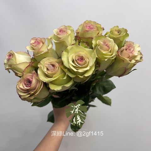 image_44604DEA-712A-45F8-A2EA-41EE0544686A_1744873235