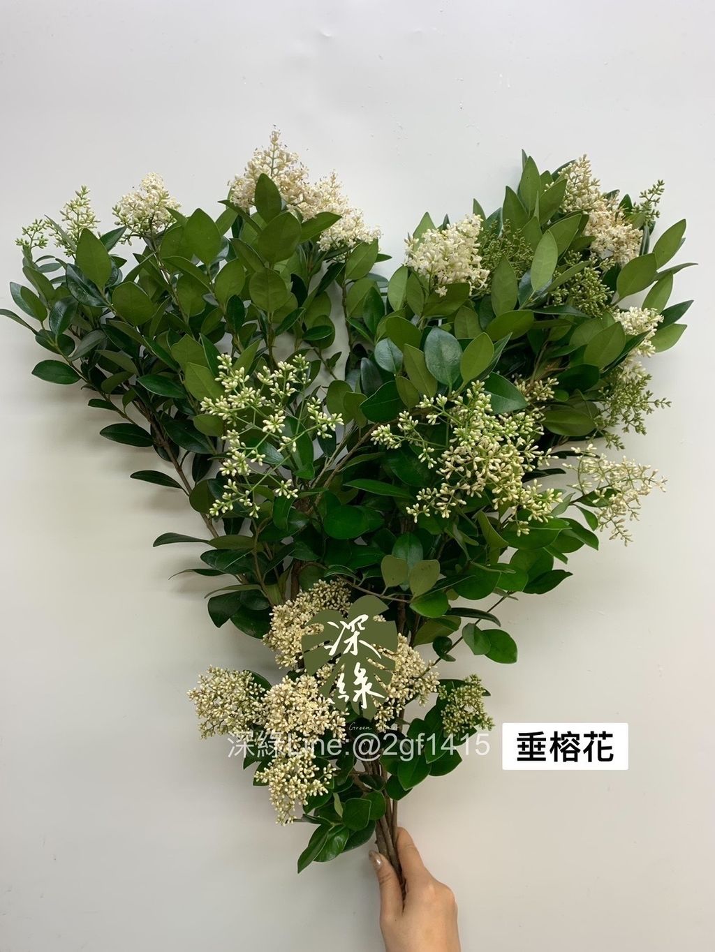 9979F1DC-9122-4D62-A2A1-7648A4BC1CC5