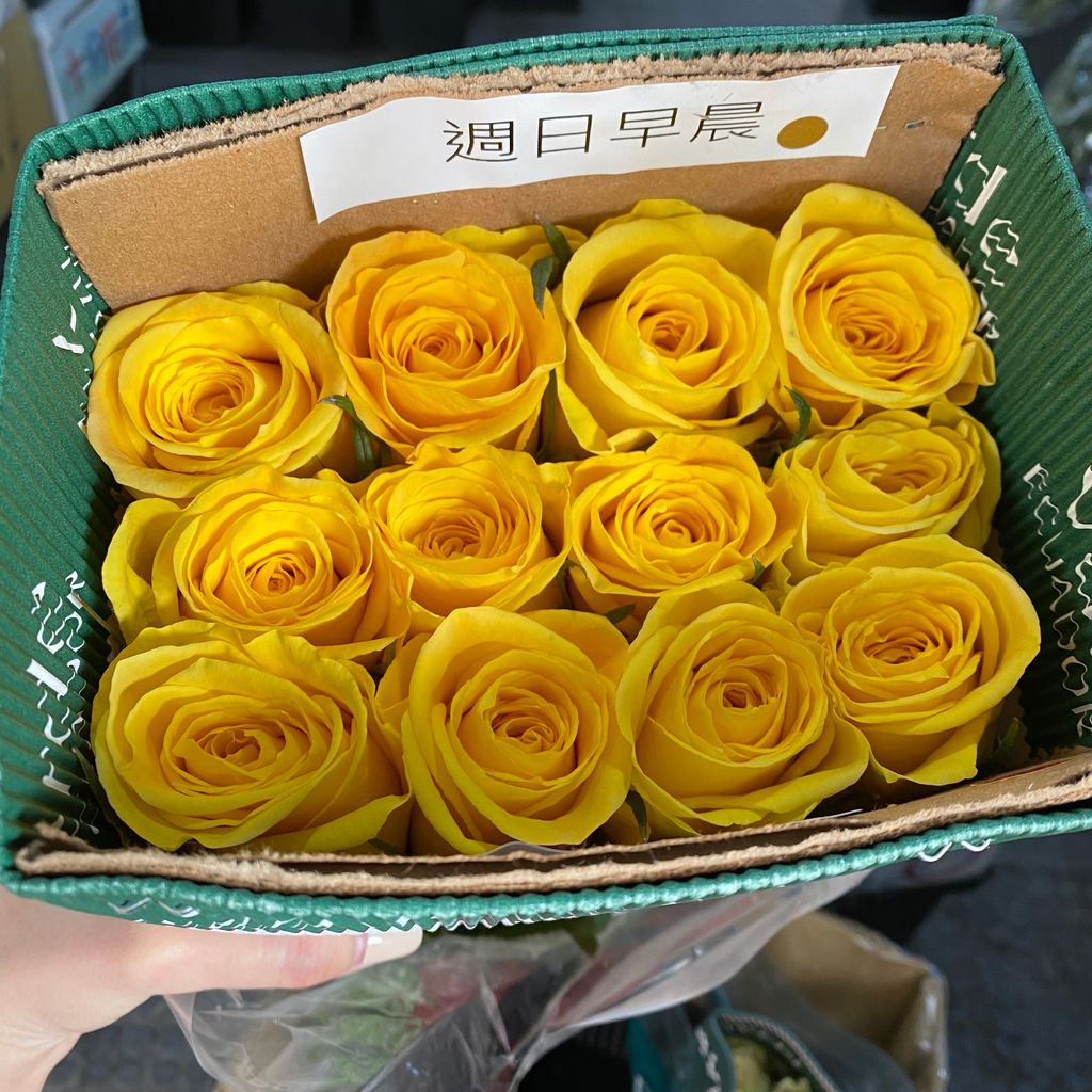 image_B38F9AAF-B06D-4544-B0B3-C2D995ECFB5E_1744537419